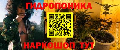 дживик Ирбит
