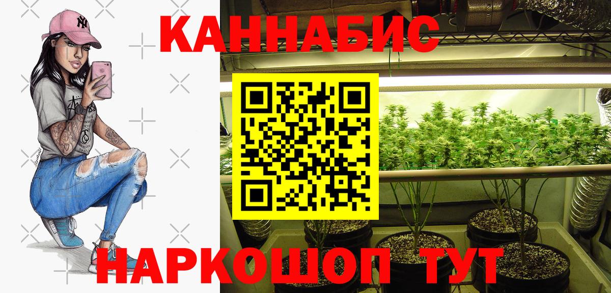 Бошки Шишки план Лесозаводск
